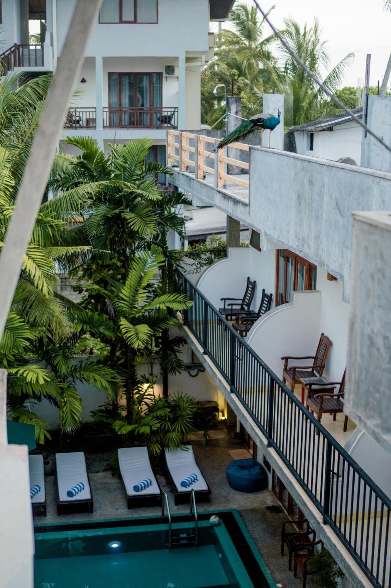 Bienvenido Cozy Madiha Hotel Matara Exterior photo